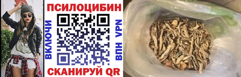 где можно купить   Углегорск  Псилоцибиновые грибы Magic Shrooms 
